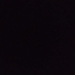 Meet your Posher, Gustavo